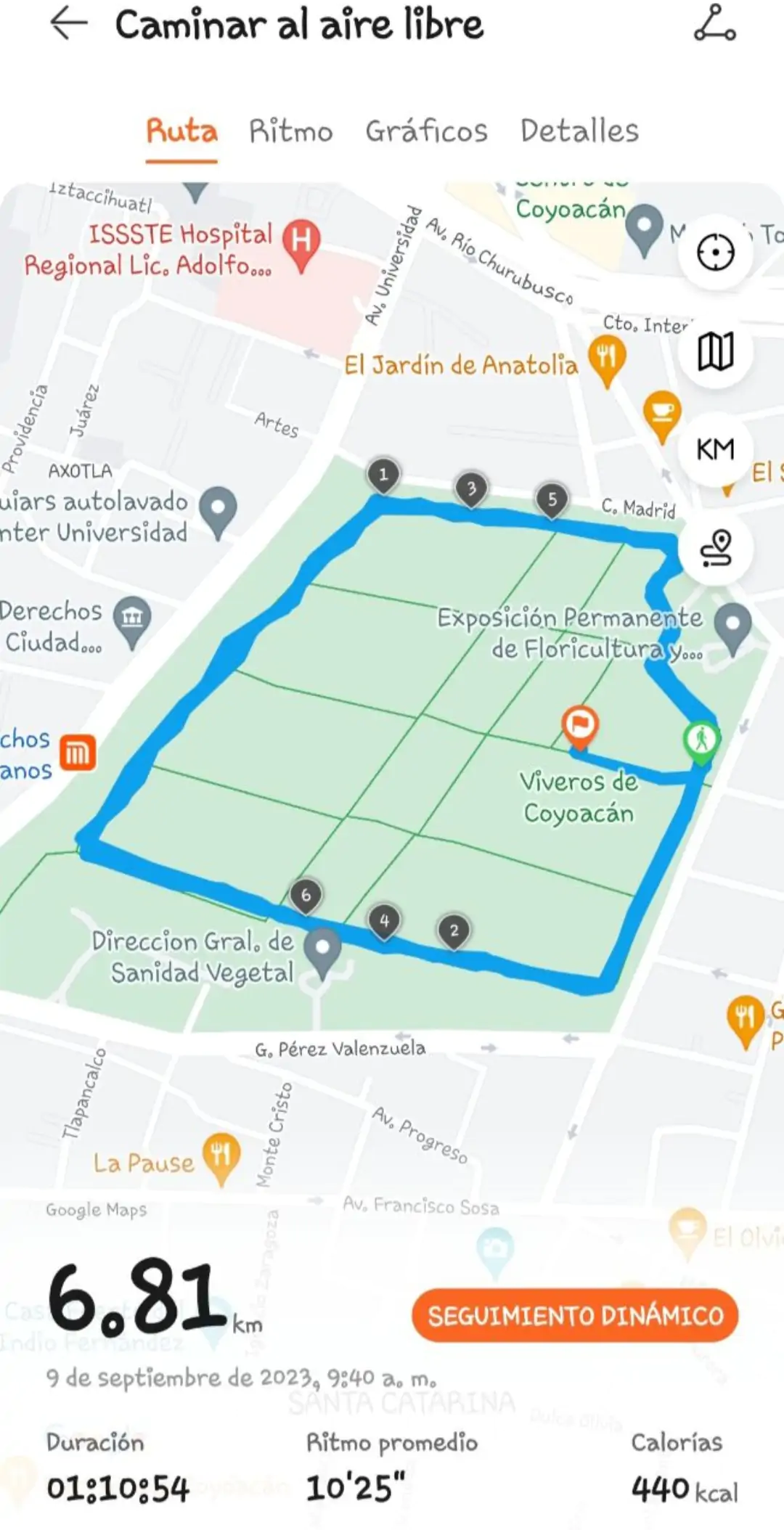 Coyoacan, Viveros