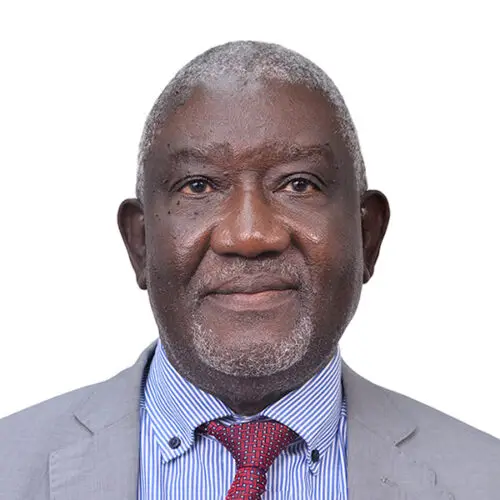 portrait image of Prof Elijah Ogola