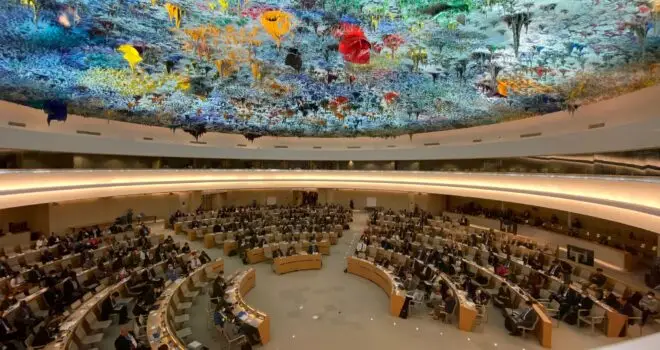 Academics and professionals gathered for the 75th World Health Assembly