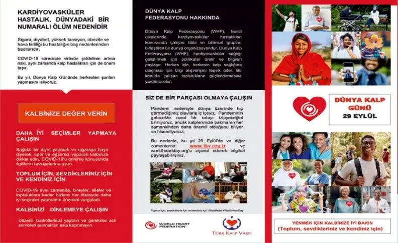 story image