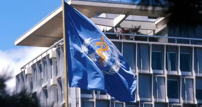 World Health Organization flag