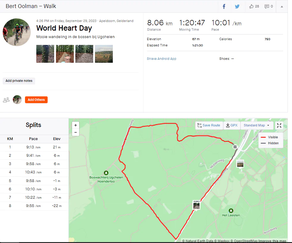 Walking on the Veluwe (around ‘t Leesten)