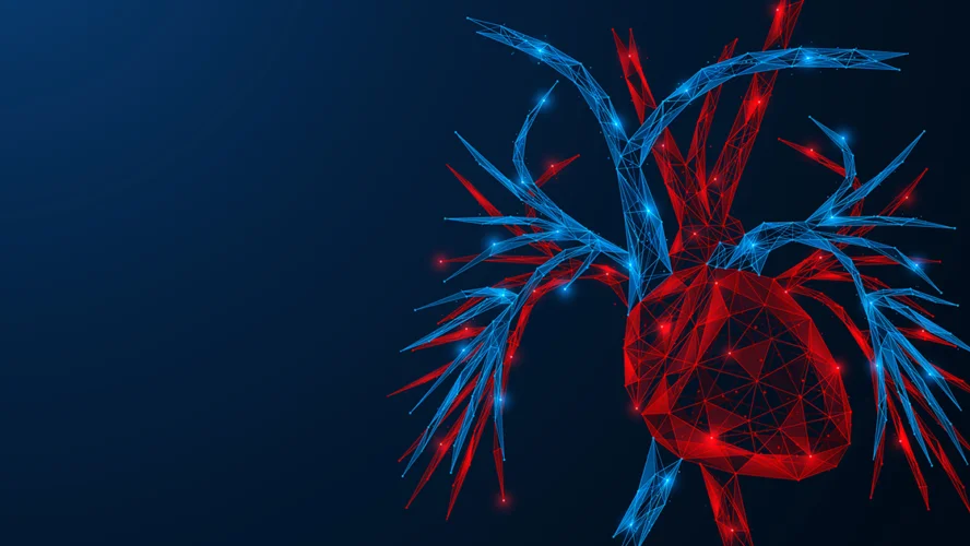 graphic of blood vessels around the heart